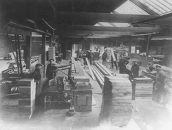 R L Robertson Ltd's sawmill - interior 