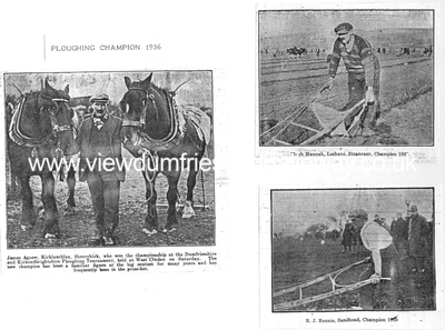 Ploughing Championships 