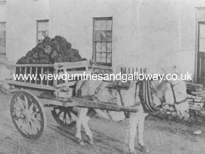 Donkey with cart-load of peat 