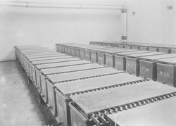 Crichton Royal Institution Storage Batteries