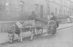 Johnnie Morgan and his cart 
